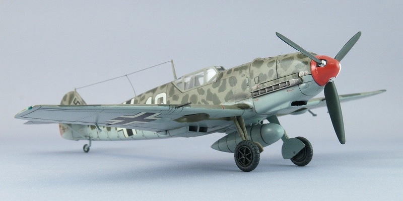 Bf109T_FRS.jpg(127521 byte)