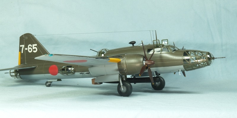 Ki-67_RSF.jpg(203329 byte)