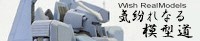 bn2.jpg(4751 byte)